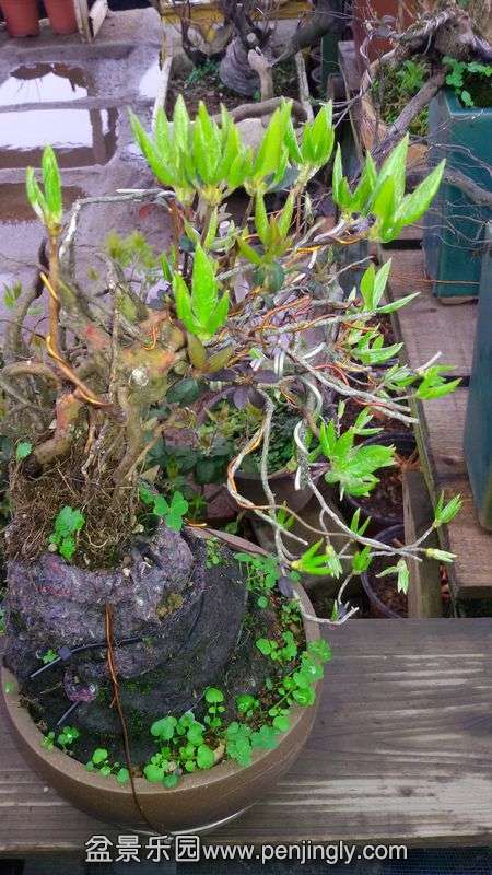 20140320_134840.jpg