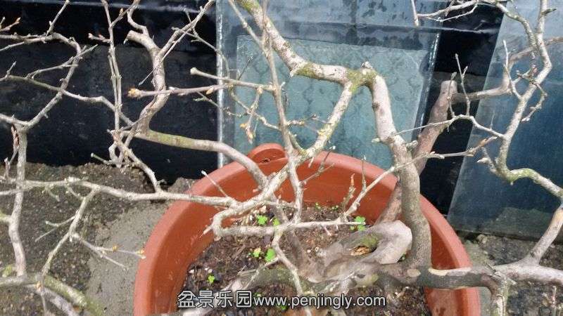 20140320_165158.jpg