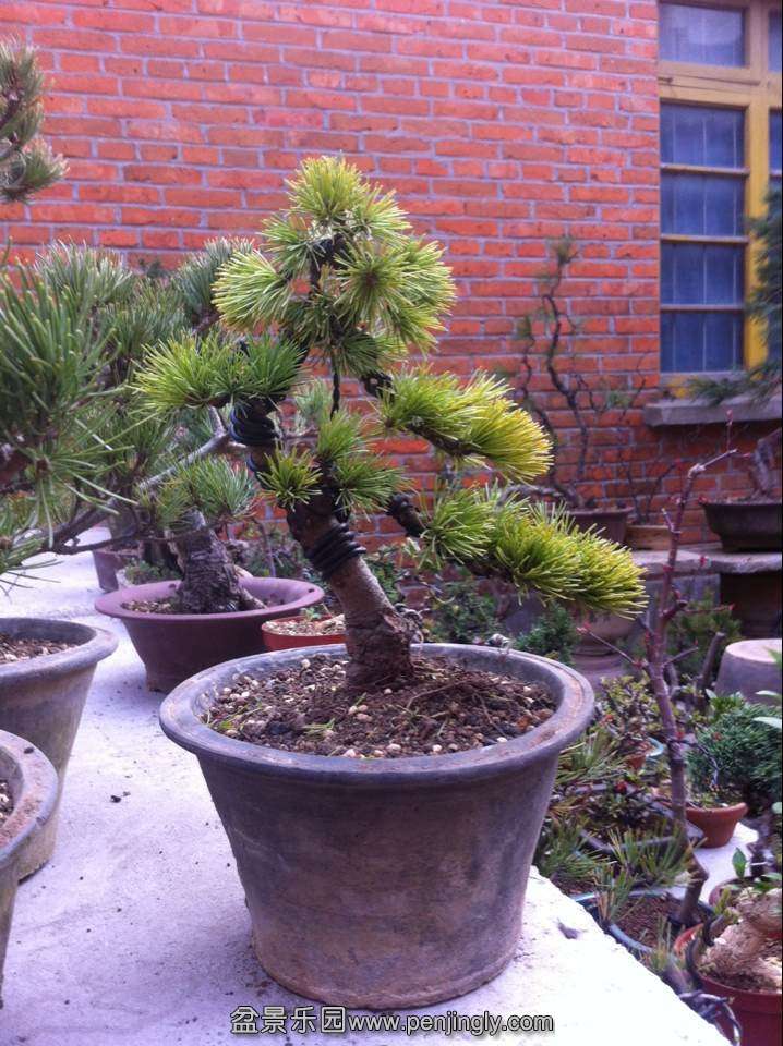 QQͼƬ20140320191755.jpg