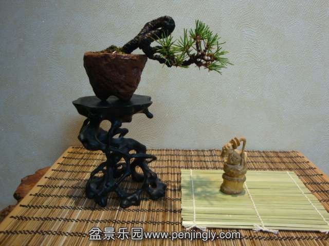 DSC07302.JPG