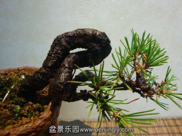 DSC07304.JPG