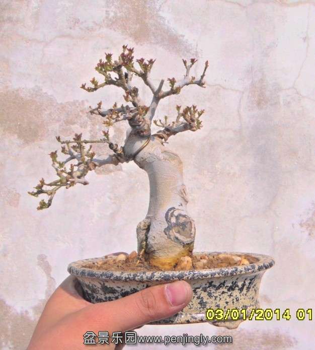 QQͼƬ20140321233651.jpg