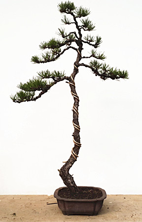 20140307_152004.jpg