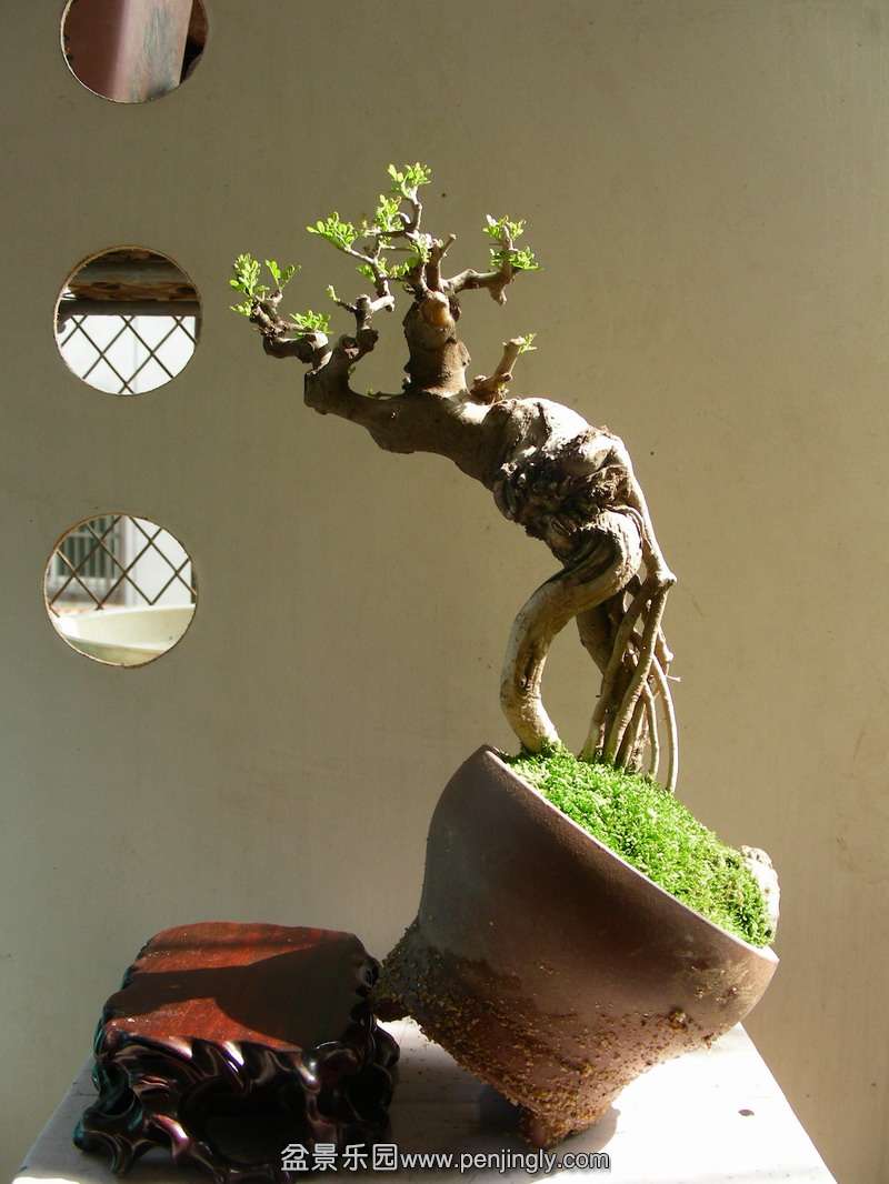 DSCN3651.JPG