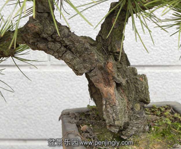 DSCN2883_.jpg