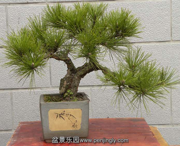 DSCN2884_.jpg