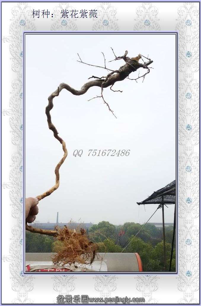 ޱ11.1.jpg