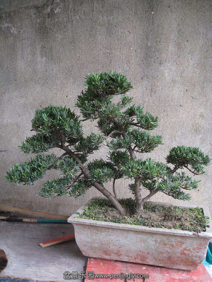 Ƭ 003.jpg