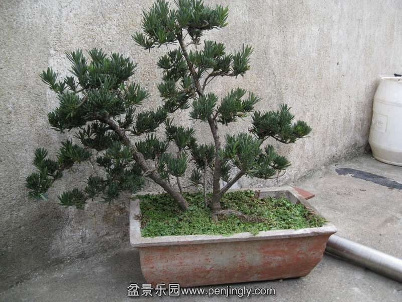 Ƭ 1108.JPG