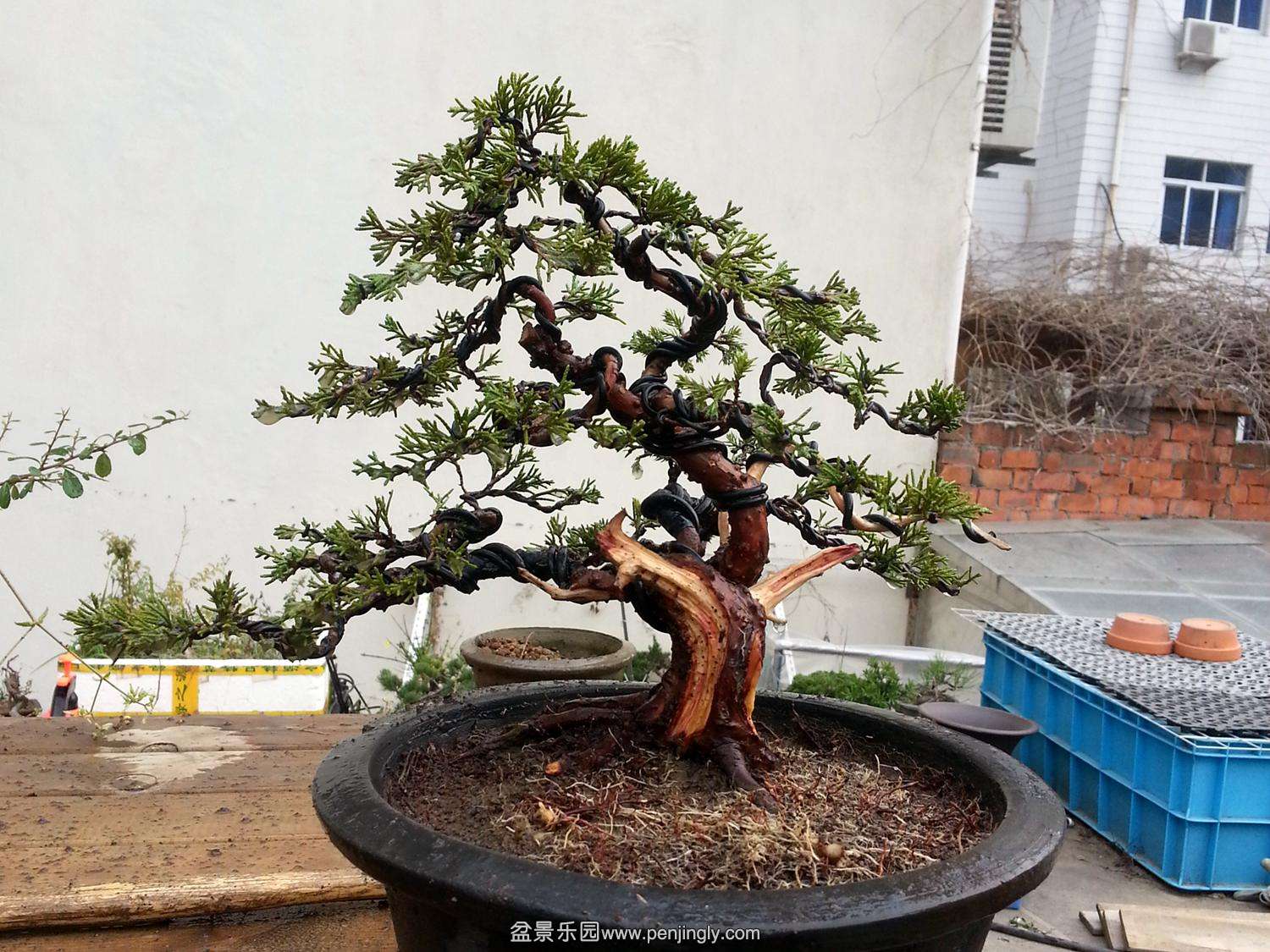 20140324_073531.jpg