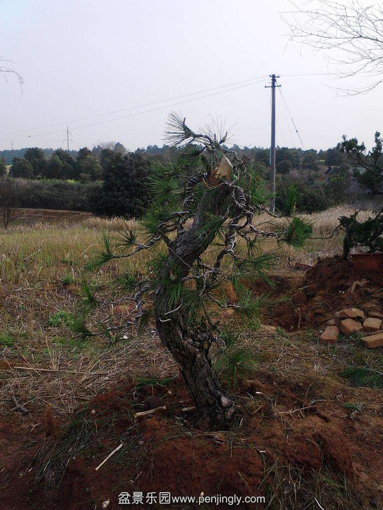 IMG20140324170422.jpg