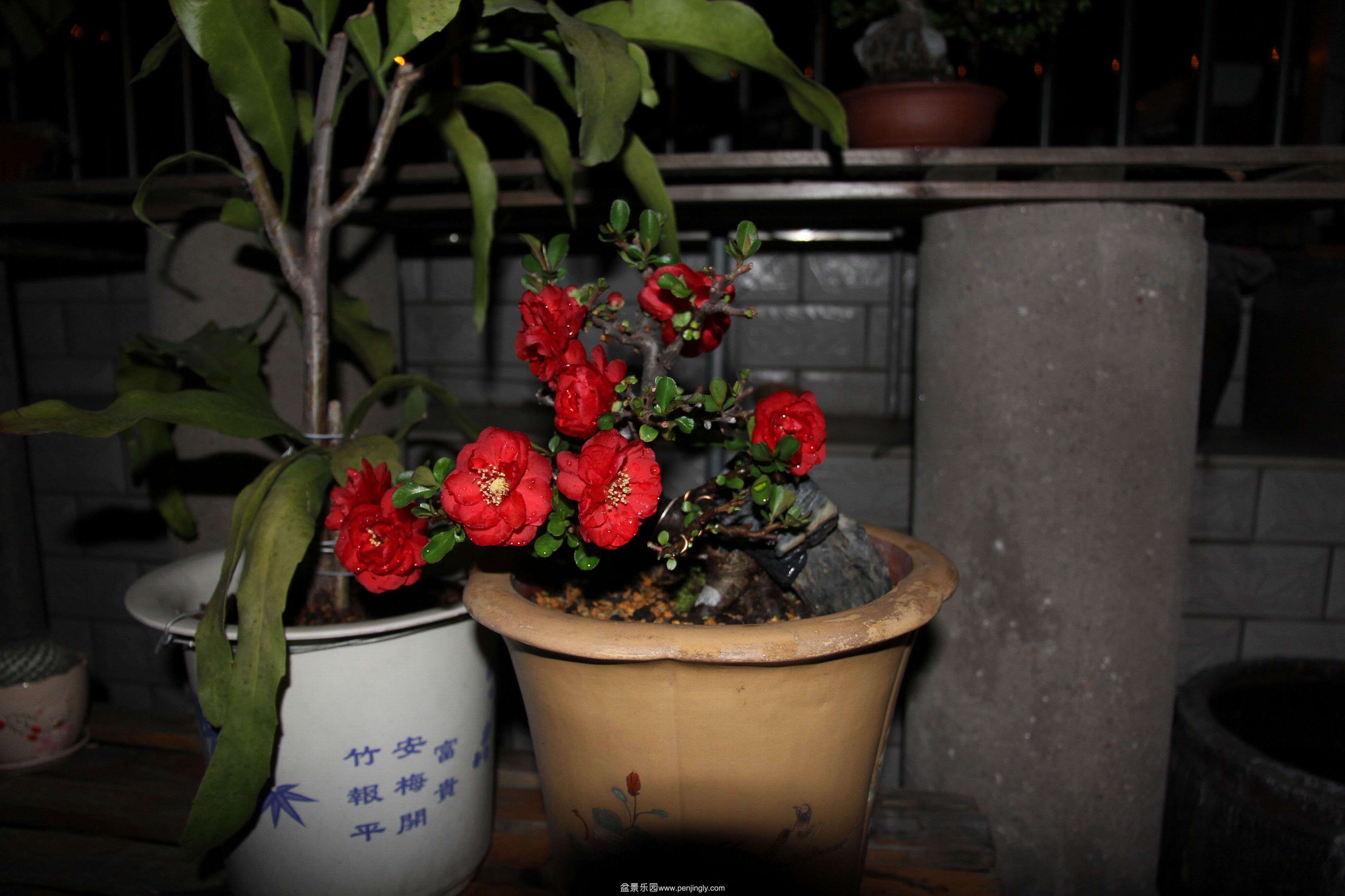 С IMG_7690.JPG