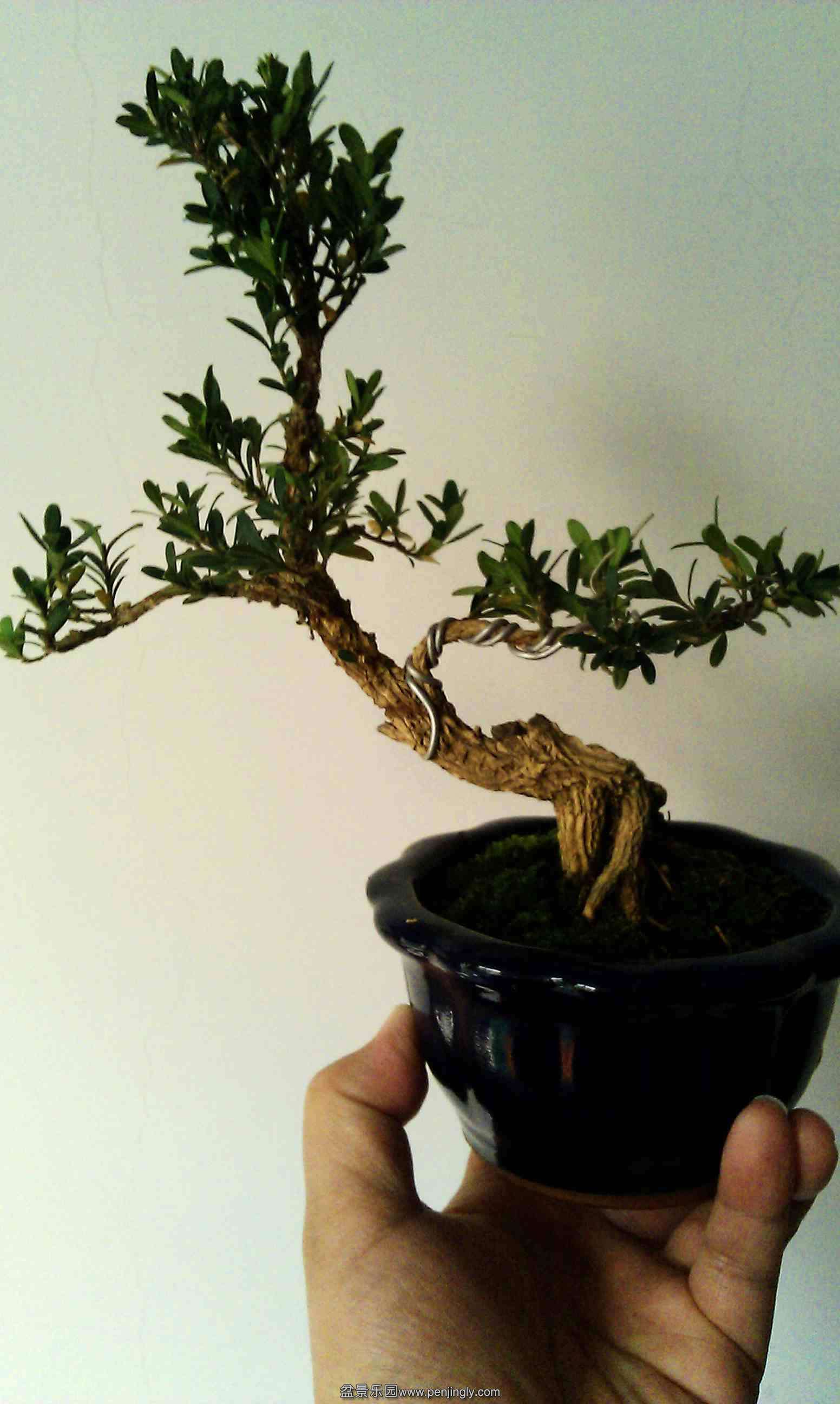 20140316-1.jpg