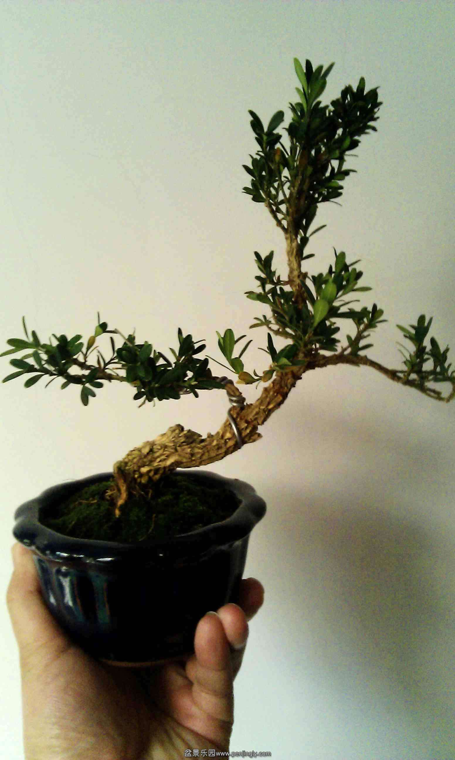 20140316-2.jpg