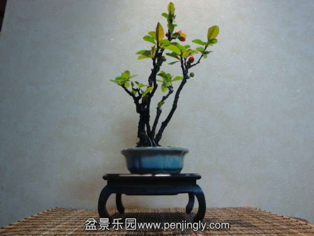 DSC07550.JPG