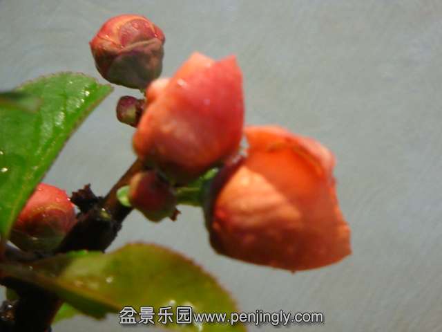 DSC07554.JPG