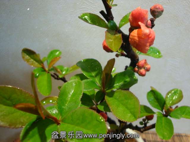 DSC07557.JPG