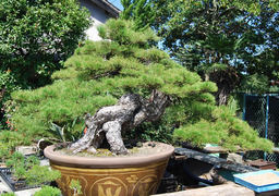 kandakafukusyoen_0144-thumb-256xauto-512.jpg