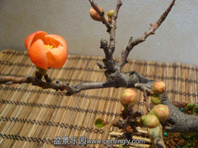 DSC07560.JPG
