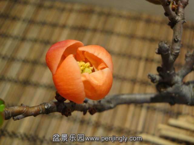 DSC07561.JPG