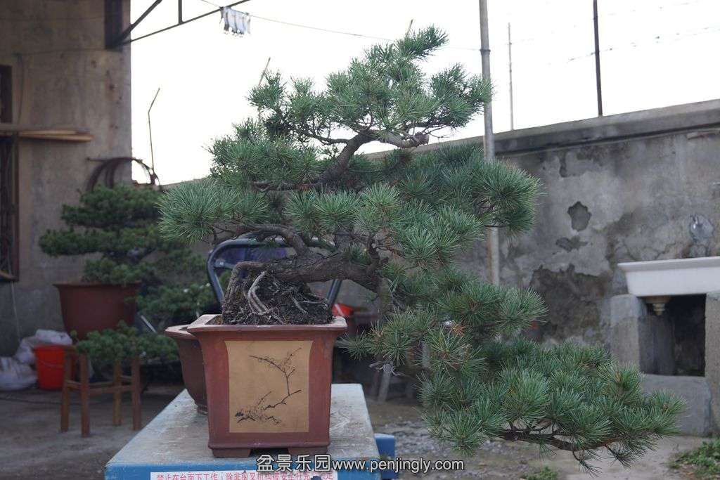 0.jpg