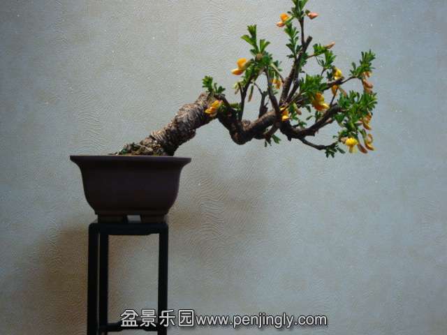 DSC07570.JPG