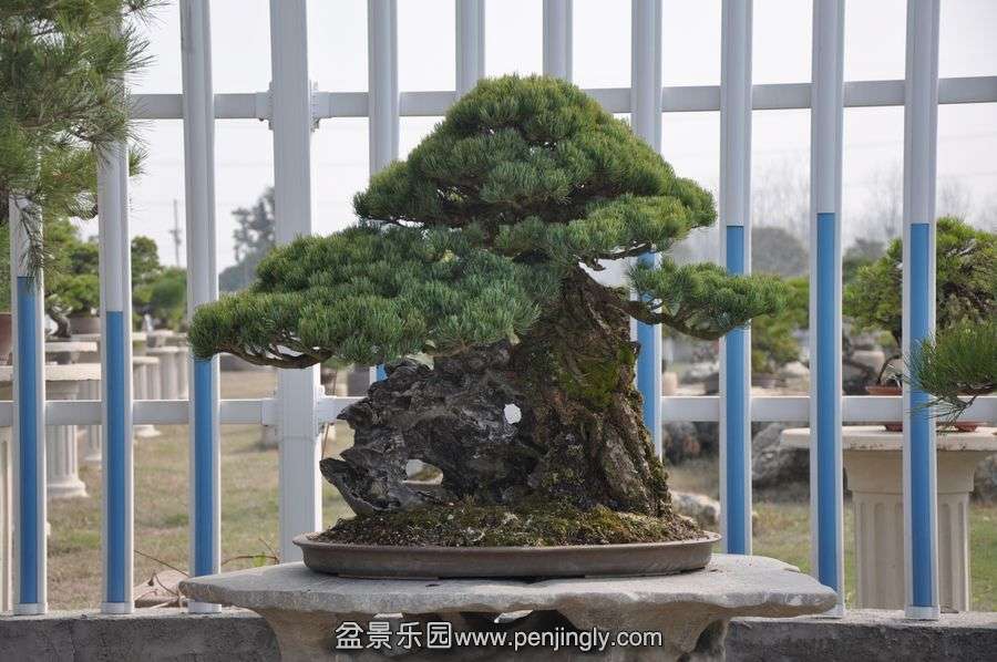 ҵ辰 383.jpg