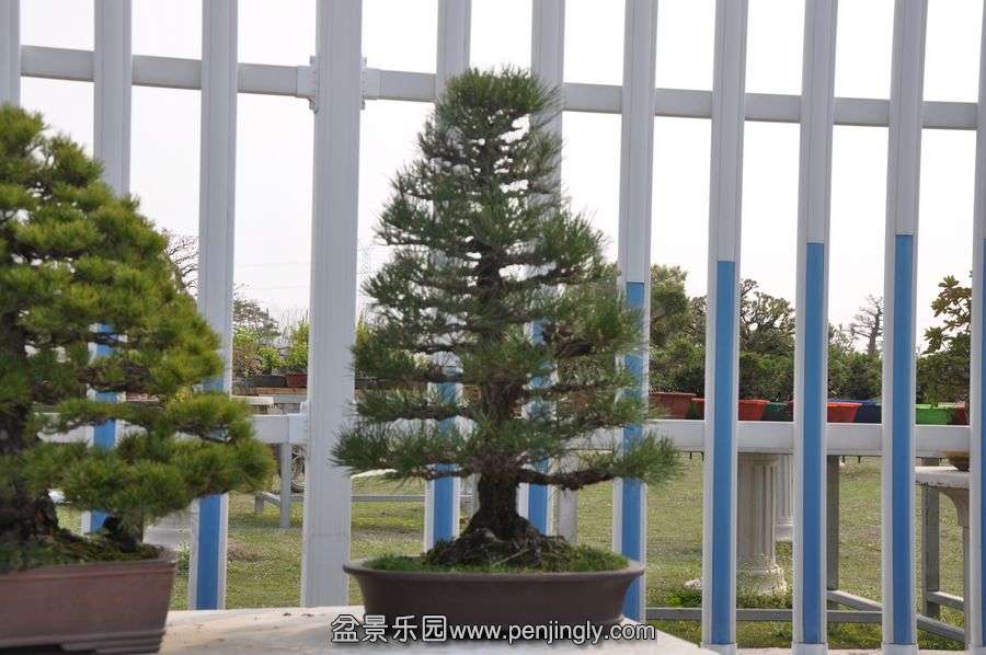 ҵ辰 388.jpg