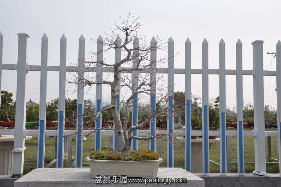 ҵ辰 389.jpg