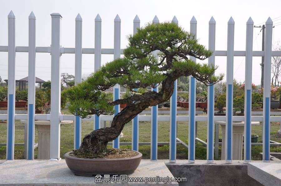 ҵ辰 390.jpg