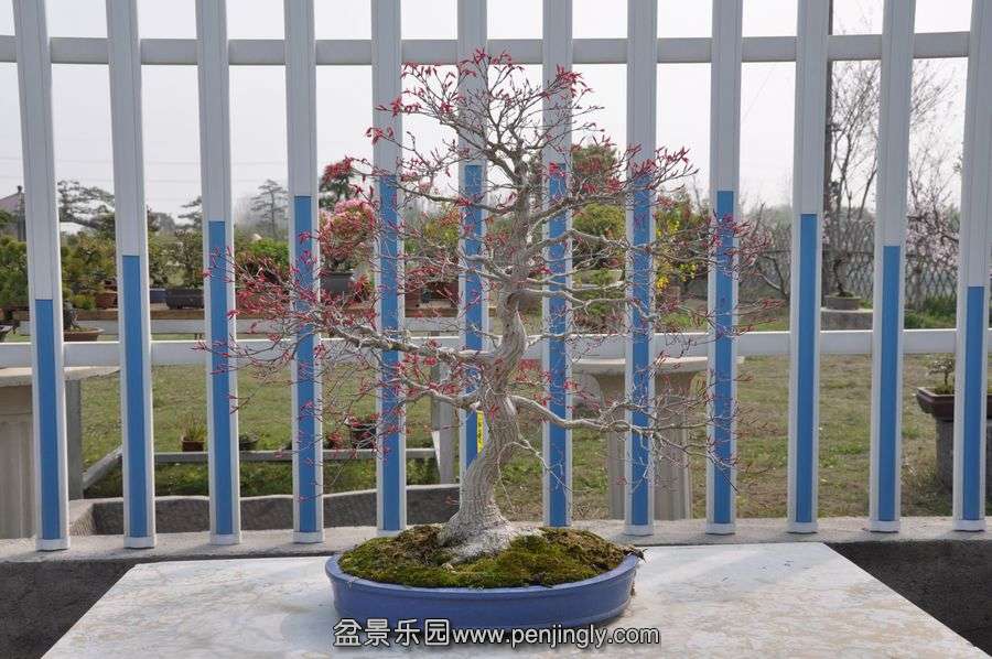 ҵ辰 391.jpg
