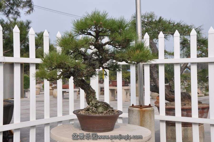 ҵ辰 395.jpg