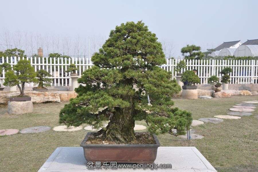 ҵ辰 406.jpg
