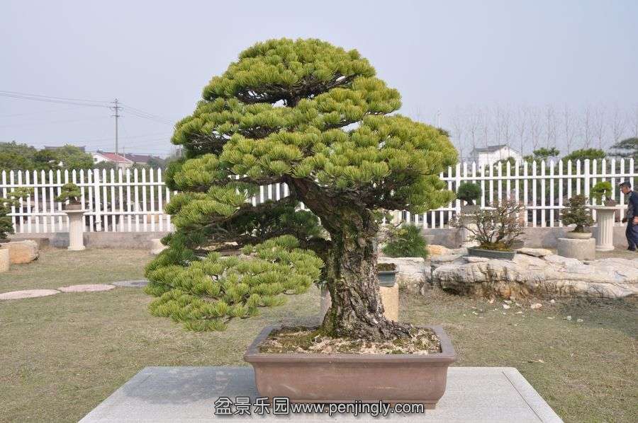 ҵ辰 408.jpg