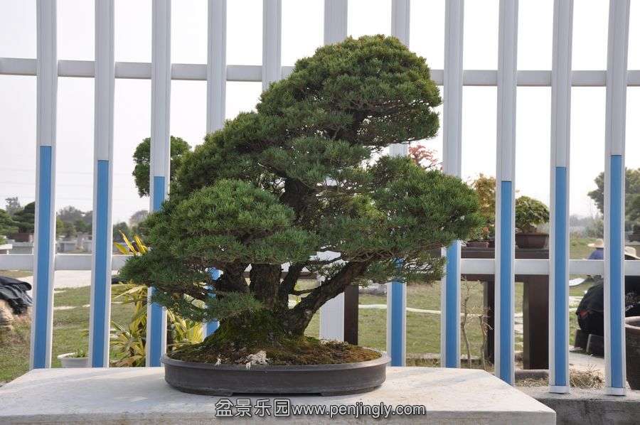 ҵ辰 386.jpg