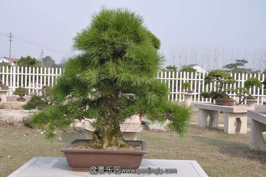 ҵ辰 412.jpg