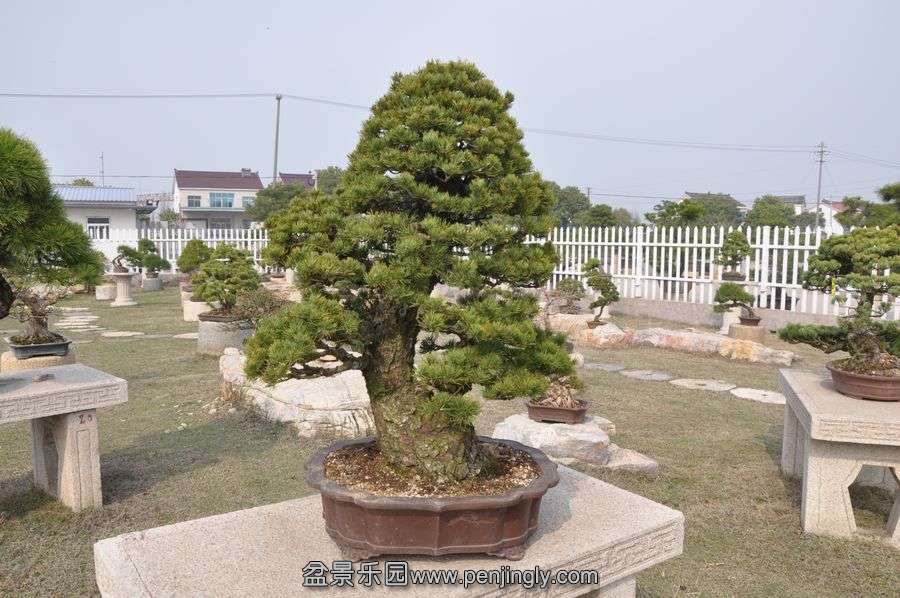 ҵ辰 414.jpg