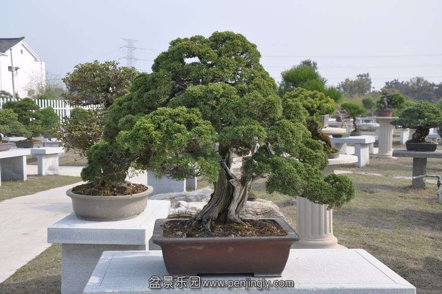 ҵ辰 420.jpg