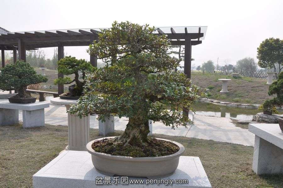 ҵ辰 421.jpg