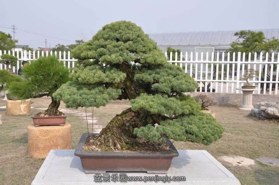 ҵ辰 423.jpg