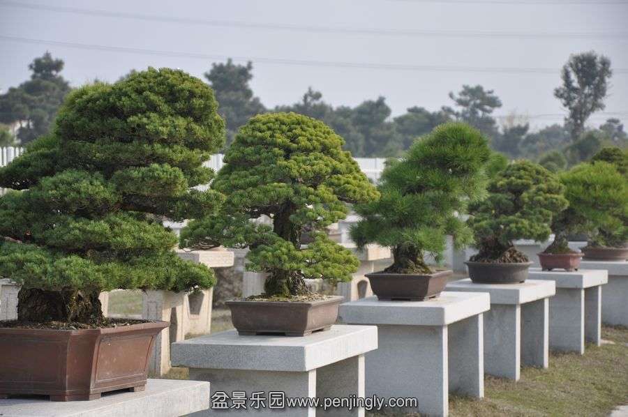ҵ辰 439.jpg