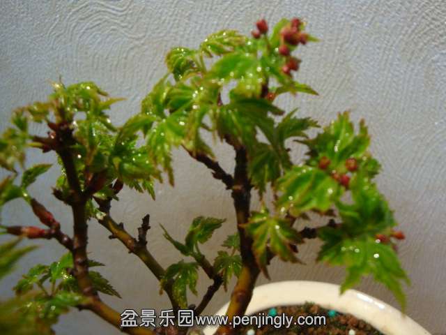 DSC07568.JPG