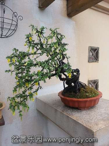 20140329_114726.jpg