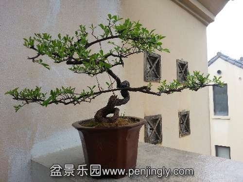 20140329_115645.jpg