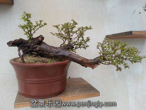 20140329_115300.jpg