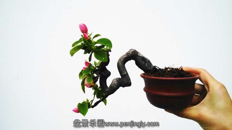IMG_20140329_173851.jpg