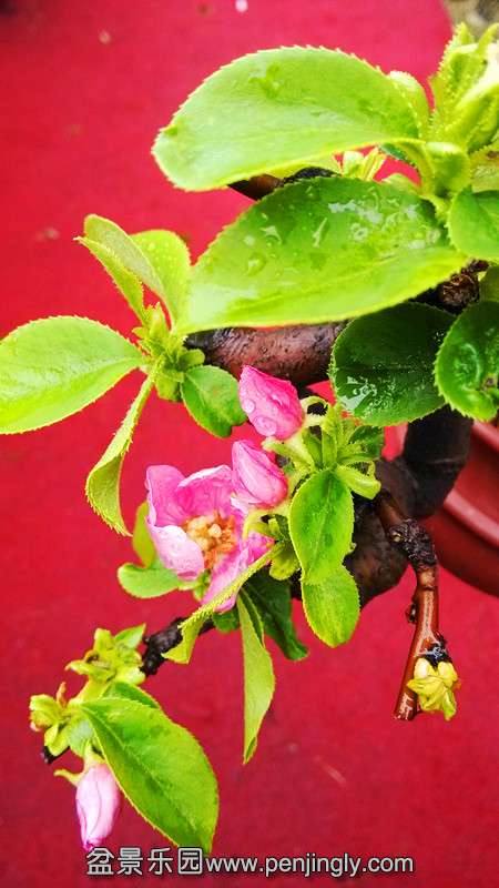 IMG_20140329_155527.jpg