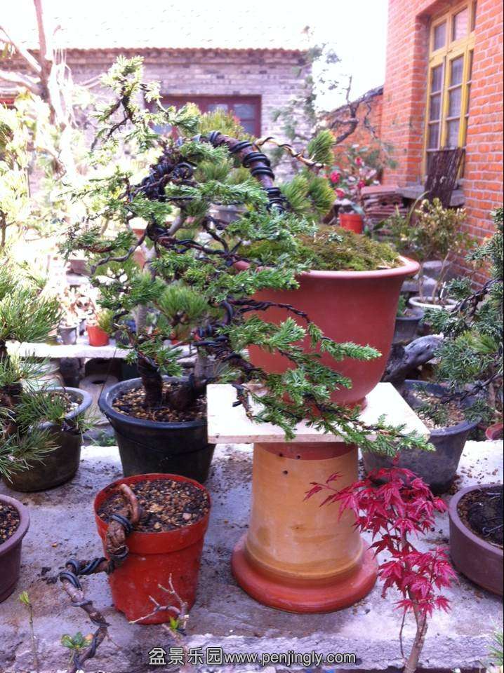 QQͼƬ20140330133920.jpg