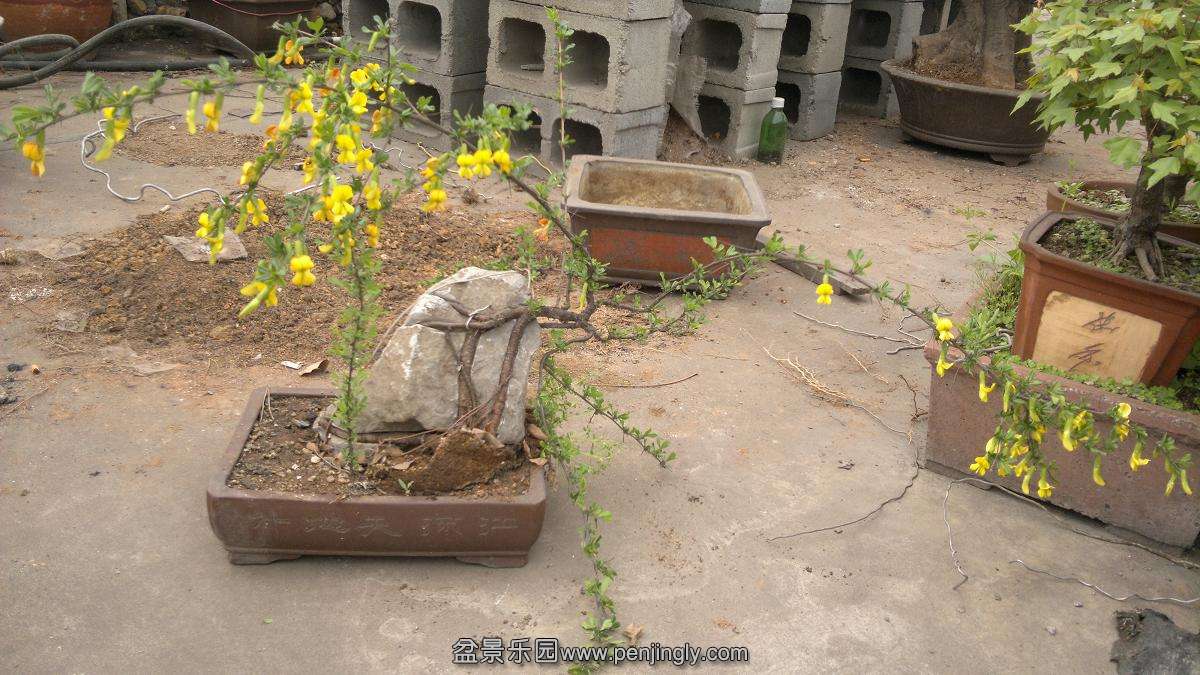 2014-03-30-212.JPG