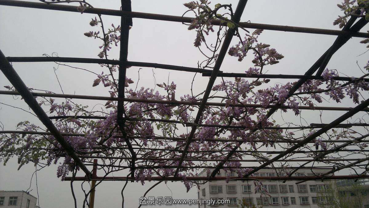 2014-03-30-266.JPG